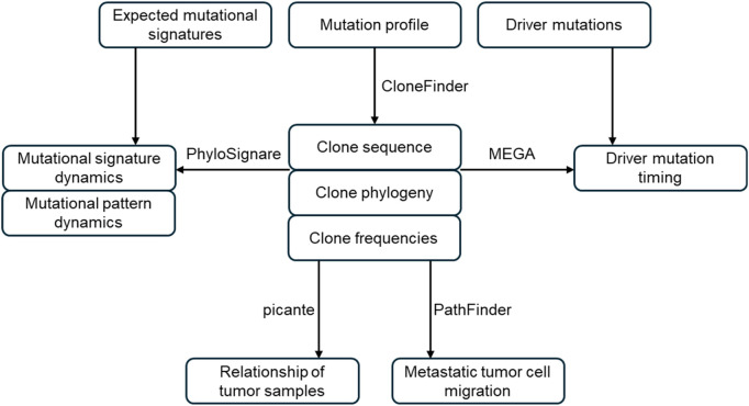 GenoPath: a pipeline to infer tumor clone composition, mutational history, and metastatic cell migration events from tumor DNA sequencing data.