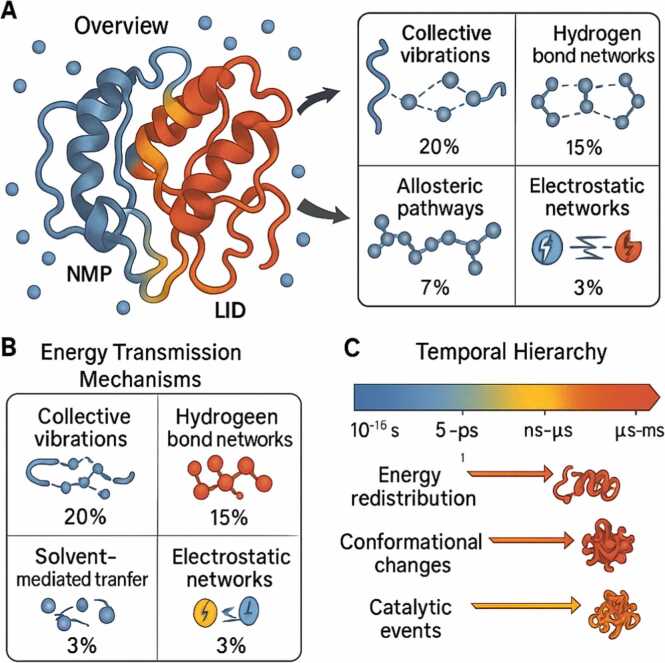 Dynamic energy conversion in protein catalysis: From brownian motion to enzymatic function.
