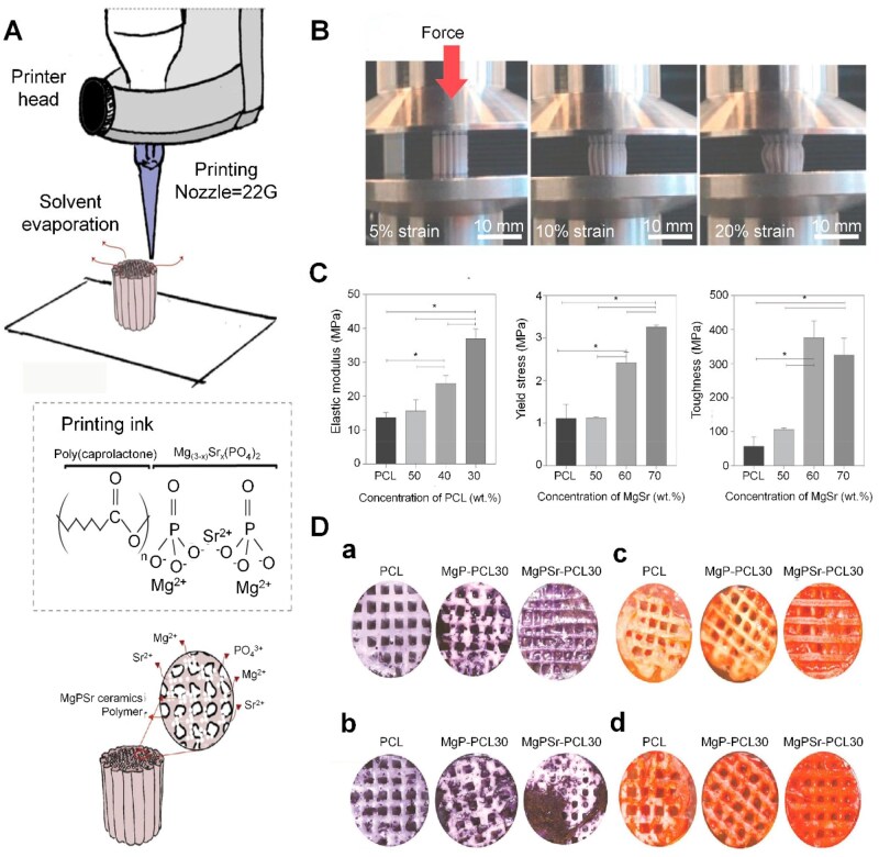 Strategic incorporation of metal ions in bone regenerative scaffolds: multifunctional platforms for advancing osteogenesis.