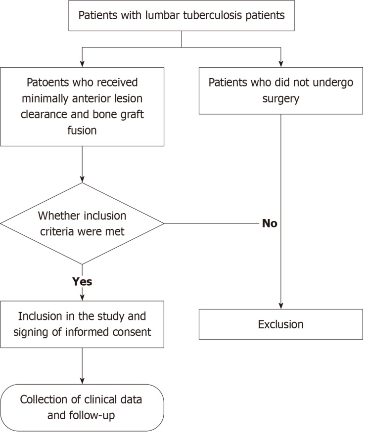 Treatment of lumbar tuberculosis with minimally invasive anterior lesion clearance combined with posterior fixation.