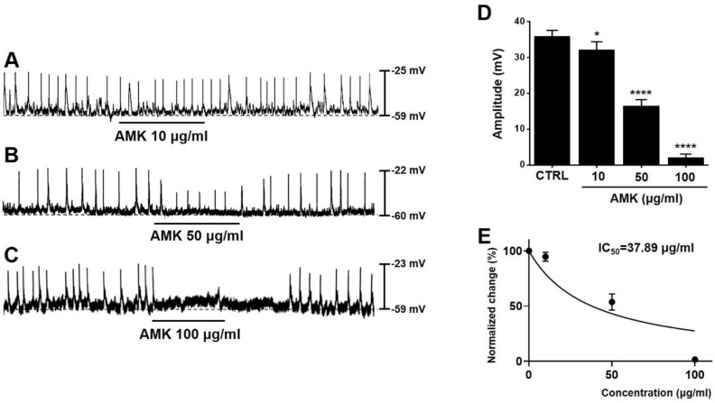 <i>Atractylodes macrocephala</i> Koidzumi modulates human colonic motility via ICCs pacemaker suppression and cAMP/ATP-sensitive K⁺ channel pathways.