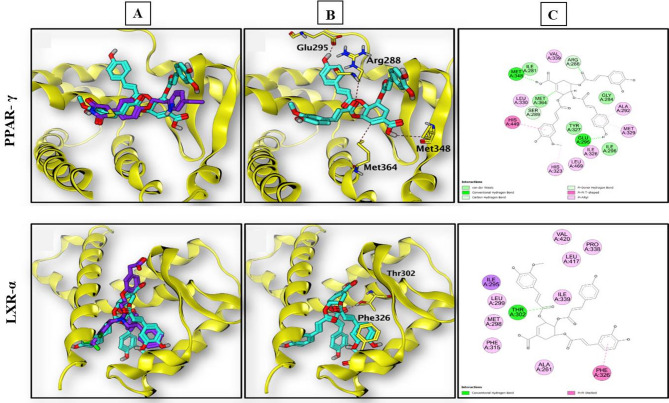 Chemical profile of Ficus lyrata bark extract and its therapeutic effect on non-alcoholic fatty liver disease via regulating oxidative stress, inflammation and hepatic lipogenesis.