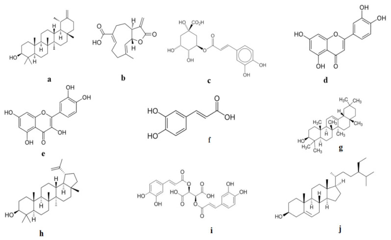 New prospects in oncotherapy: bioactive compounds from <i>Taraxacum officinale</i>.