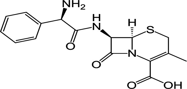 Evaluation of the efficacy of cephalosporin antibiotics sold in Kano, Nigeria, against clinical bacterial isolates.