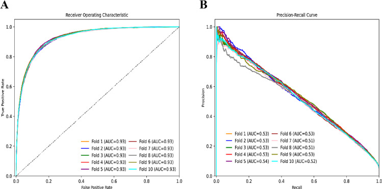 MultiFG: integrating molecular fingerprints and graph embeddings via attention mechanisms for robust drug side effect prediction.