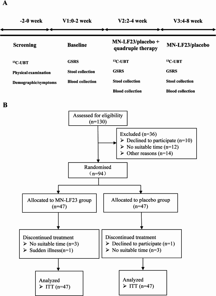 Impact of supplementing Limosilactobacillus fermentum MN-LF23 on the eradication of Helicobacter pylori with 14-day standard quadruple therapy: a randomized, double-blind, placebo-controlled trial.