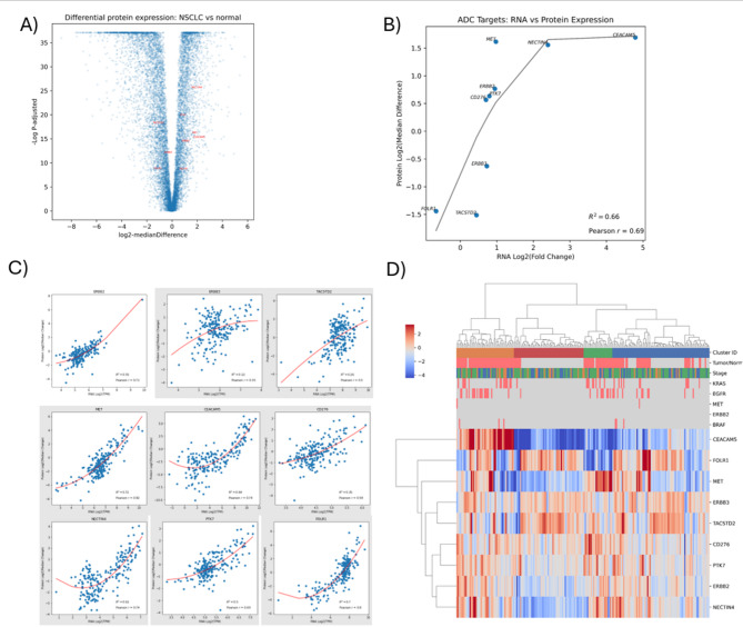 Advancing precision antibody-drug conjugate therapy: unique proteogenomic profiles of tumor subsets in non-small cell lung cancer.