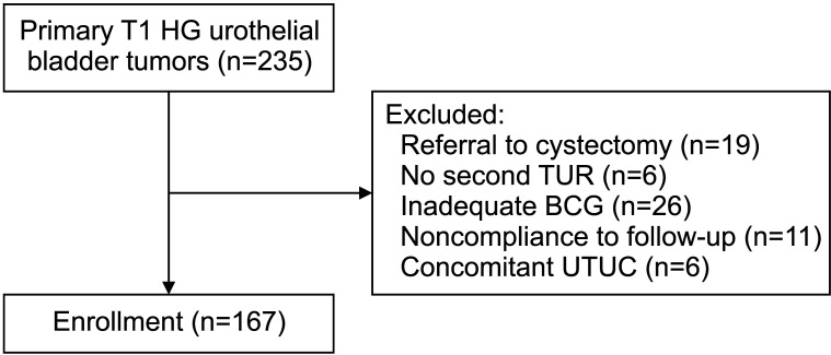Predictive value of tumor invasion patterns on intravesical bacillus Calmette-Guérin response for stage T1 high-grade non-muscle-invasive bladder cancer.