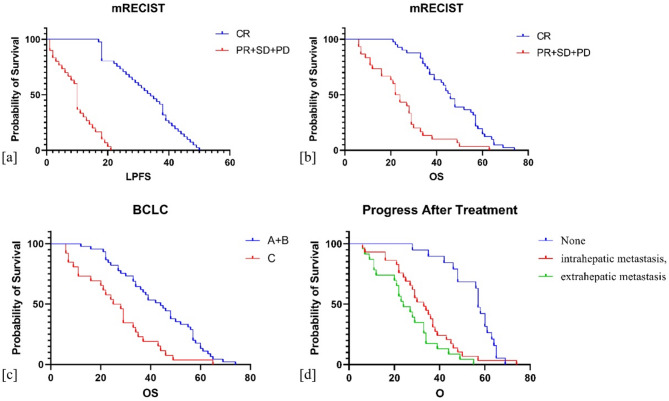 Investigation into the efficiency and prognostic elements of CT-guided ¹²⁵I particle implantation for liver cancer.