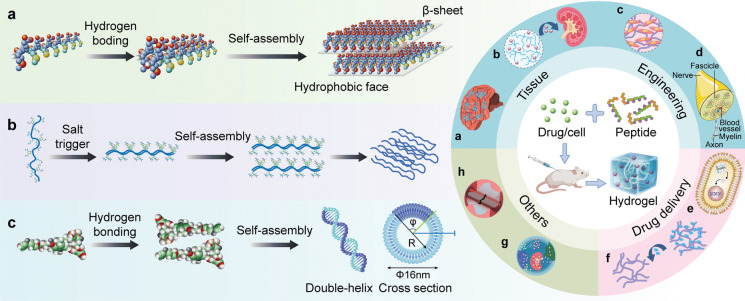 Advances in hybrid hydrogel design for biomedical applications: innovations in drug delivery and tissue engineering for gynecological cancers.