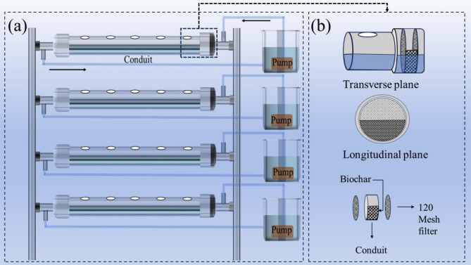 Assessment of biochar filter application in improving chromium stress tolerance and plant physiology in Chinese cabbage (Brassica rapa) under a flow-through water setup.