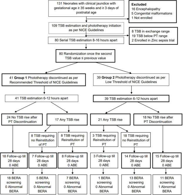 Evaluation of total serum bilirubin thresholds for discontinuing phototherapy in jaundiced neonates: a randomized study.