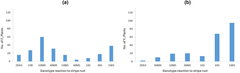 Heritability of durable resistance to stripe rust in bread wheat (<i>Triticum aestivum</i> L.).