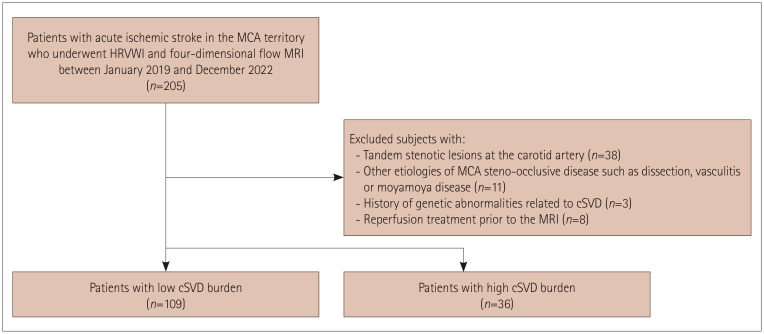 Geometry and Wall Shear Stress of the Contralesional Middle Cerebral Artery Are Associated With the Burden of Cerebral Small Vessel Disease in Acute Ischemic Stroke.