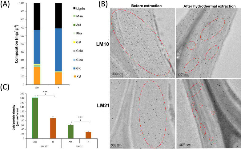 Carbohydrate-binding domain CBM63 of microbial expansin-like BsEXLX1 facilitates the adsorption of expansin-related proteins to hemicelluloses in plant secondary cell walls