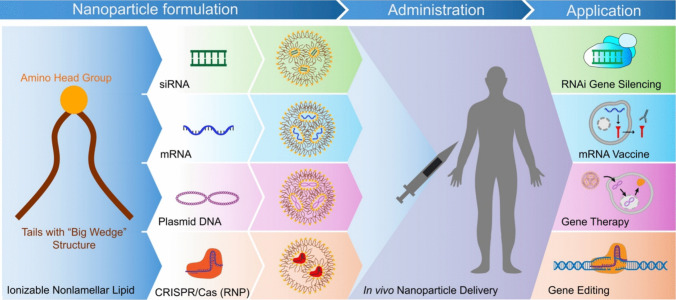 Mechanism of pH-sensitive Amphiphilic Endosomal Escape of Ionizable Lipid Nanoparticles for Cytosolic Nucleic Acid Delivery.