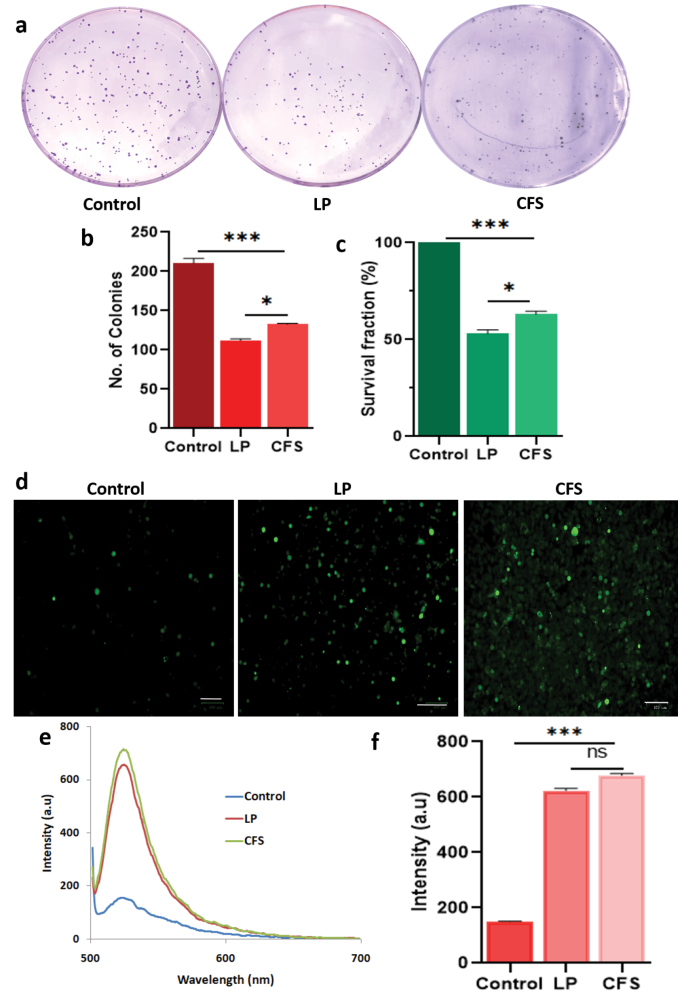Correction to: <i>Lactiplantibacillus plantarum</i> exerts anticancer effects and increase the chemosensitivity of 5-fluorouracil against oral cancer cells <i>in vitro</i>.