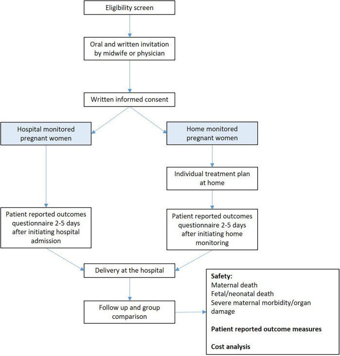 The HOME (home monitoring of high-risk pregnancies) study: a study protocol for an observational study of a telemedicine-assisted follow-up at home vs. hospitalization.
