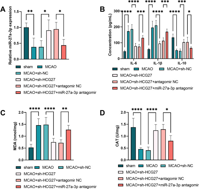 Silencing LncRNA HCG27 ameliorates cognitive dysfunction after ischemic stroke via miR-27a-3p regulation.