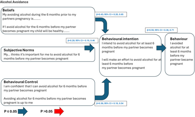 Preconception health beliefs and intentions predict behaviours among expectant male partners: a cross-sectional study.