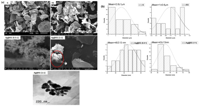 In situ decoration of Ag@exfoliated graphite composite catalyst for Fenton-like oxidation of methylene blue dye: kinetic and thermodynamic studies