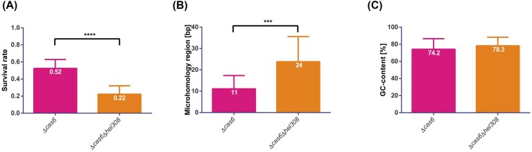 CRISPR-Cas induced self-targeting identifies key players in archaeal microhomology-mediated end joining.