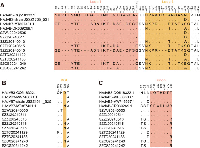 Molecular characteristics of human adenovirus isolated from the 2024 influenza-like illness outbreaks in Suzhou City, China.