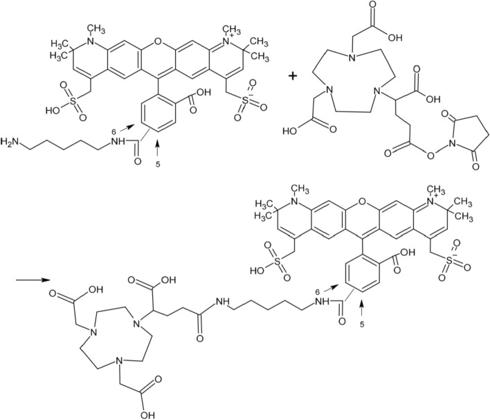 <sup>68</sup>Ga-radiolabeled fluorescent dye for potential non-invasive multimodal imaging of subarachnoid hemorrhage.