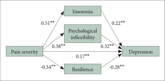 Mediating Effect of Psychological Inflexibility, Insomnia, and Resilience on the Association Between Pain and Depression Among Patients With Chronic Pain.