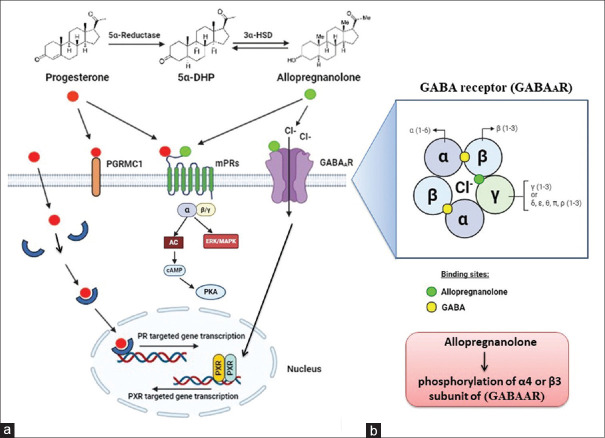 Effect of pregnancy hormones on pain perception in the peripartum period: A narrative review.