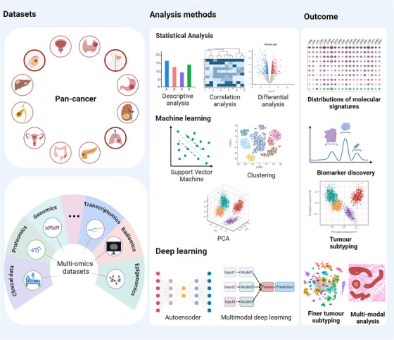Pan-cancer analysis shapes the understanding of cancer biology and medicine.