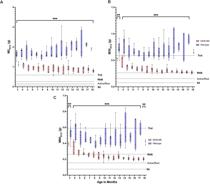Long-term, age-associated activity quantification in the DE50-MD dog model of Duchenne muscular dystrophy.