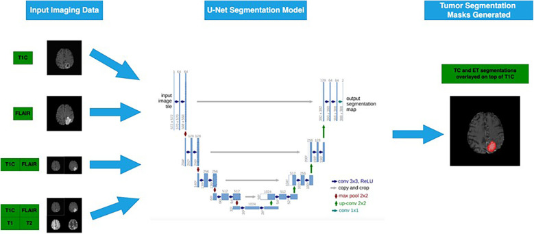 Brain tumor segmentation using deep learning: high performance with minimized MRI data.
