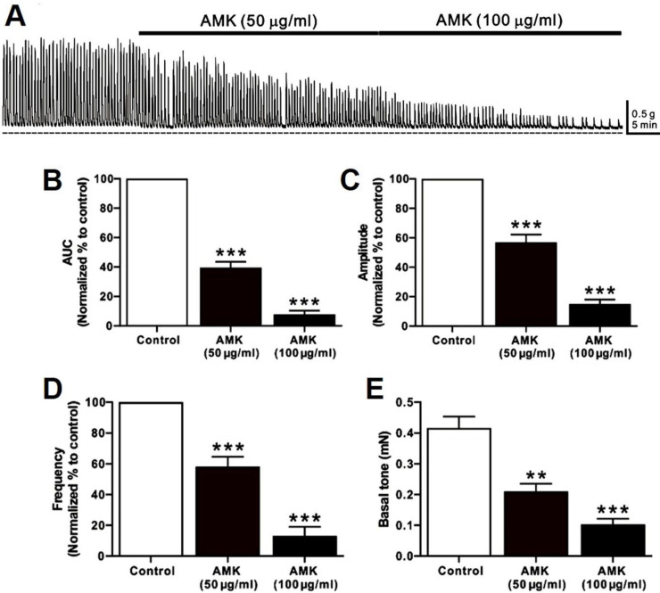 <i>Atractylodes macrocephala</i> Koidzumi modulates human colonic motility via ICCs pacemaker suppression and cAMP/ATP-sensitive K⁺ channel pathways.