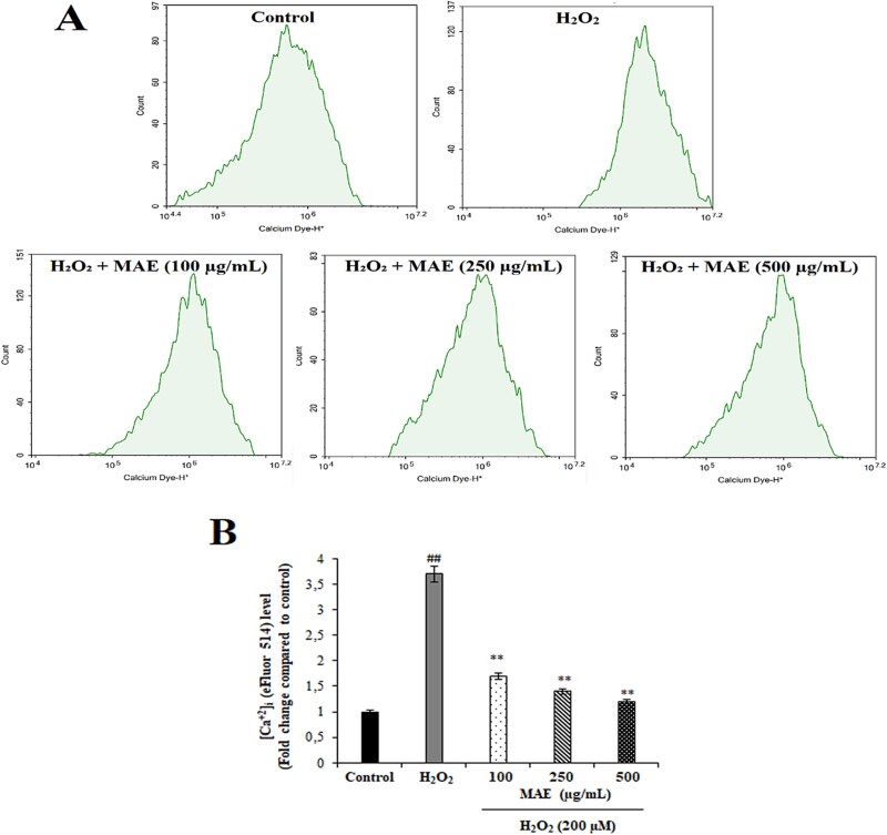 Modulating intracellular calcium dynamics with alkaloids: A novel strategy against oxidative neurodegeneration.