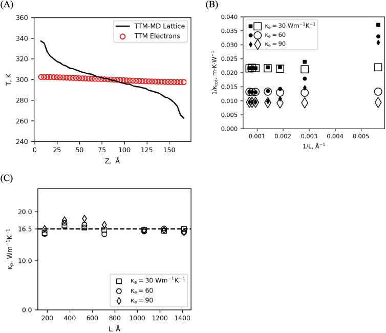 Molecular dynamics simulations of thermal transport in metals using a two-temperature model