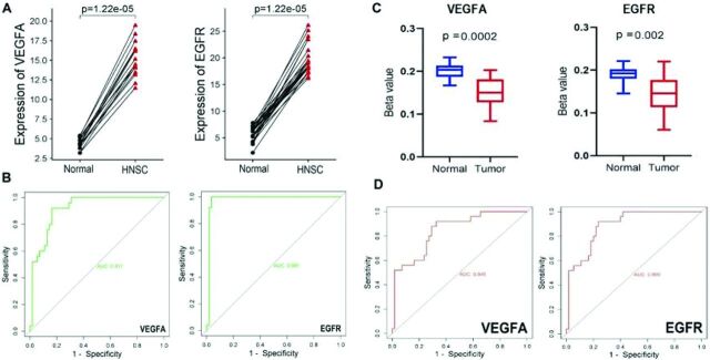 Illuminating the role of VEGFA and EGFR in head and neck squamous cell carcinoma through the multi-omics data integration.