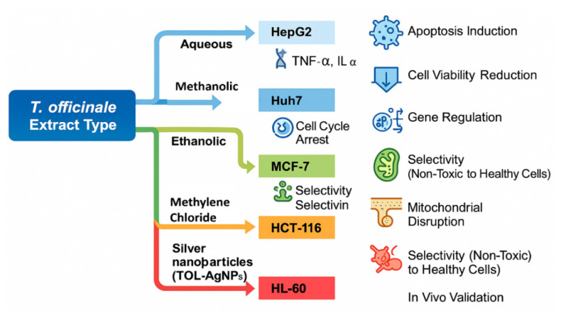 New prospects in oncotherapy: bioactive compounds from <i>Taraxacum officinale</i>.