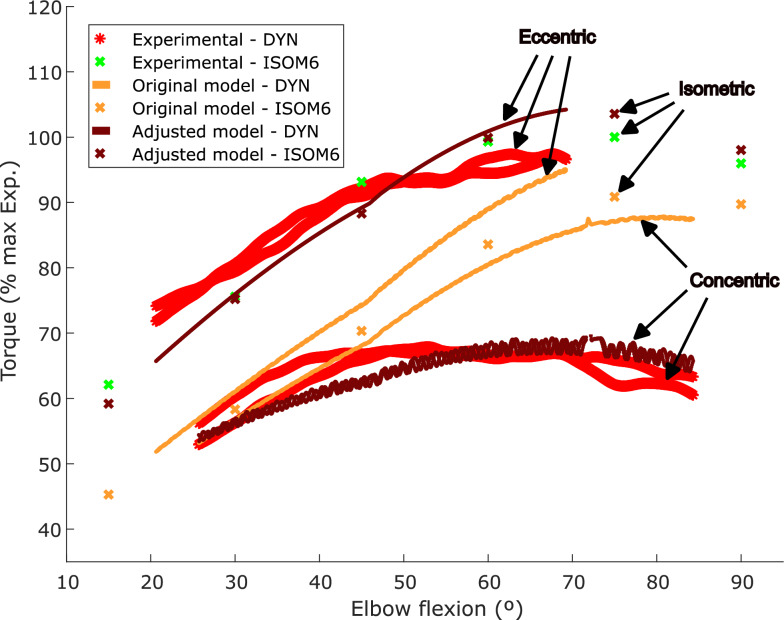 Comparison of subject-specific musculoskeletal model calibration strategies on muscle force and fatigue estimation.