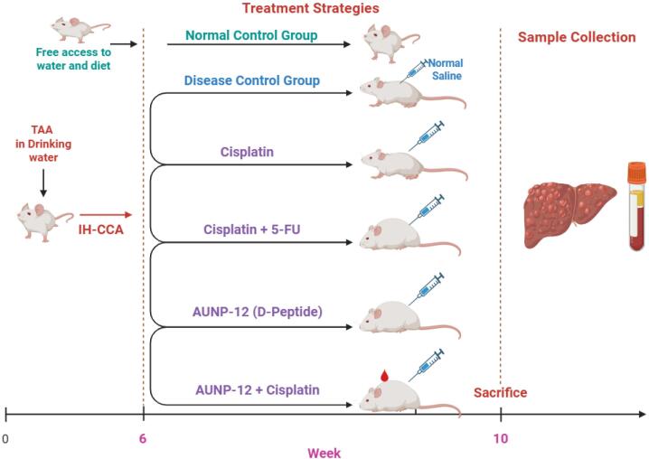 Targeting immune checkpoints as a new therapeutic strategy for intra-hepatic cholangiocarcinoma.