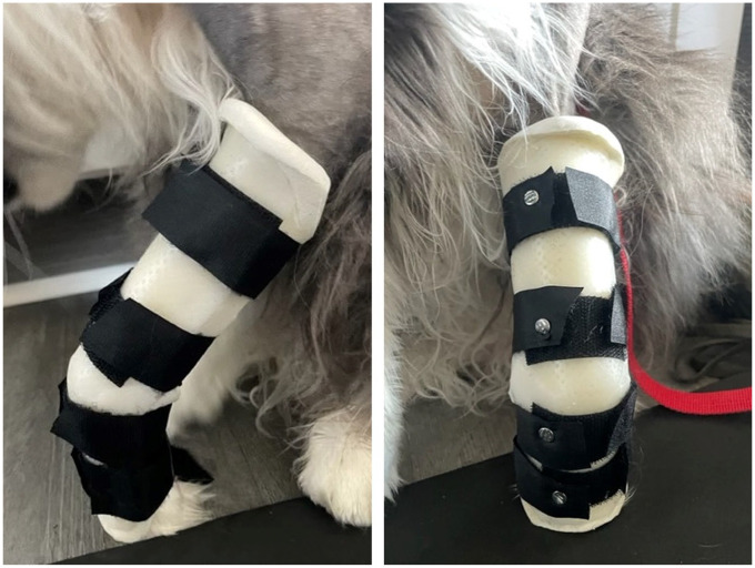 Medial humeral epicondylitis: a retrospective case series of nine cats (17 elbows).