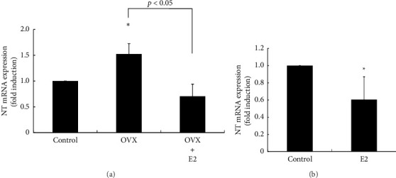 Neurotensin Expression in the Posterior Hypothalamus Is Influenced by an Increase in Kisspeptin Levels: Insights From In Vivo Rat Models and Hypothalamic Cell Models.