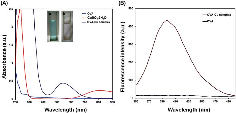 Biologically inspired laccase-mimicking OVA-Cu complex for degradation of organic dye pollutant: Artificial neural network modeling and optimization.