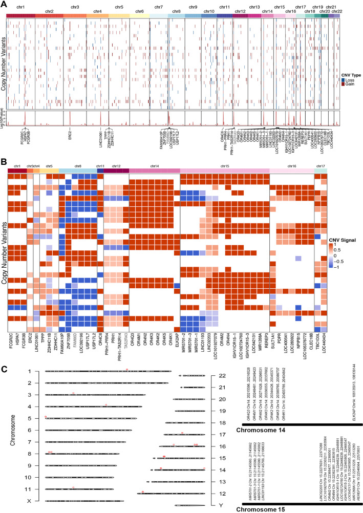 Association between Gut Microbiota Composition and Copy Number Variations in Human Genes <i>FAM66D</i> and <i>TAS2R43</i>.