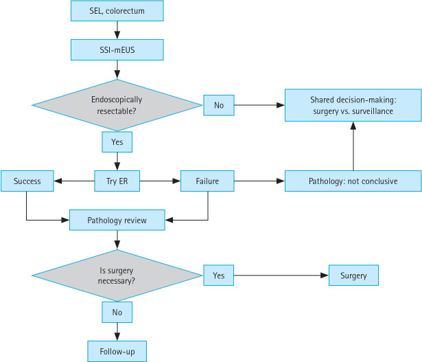 Submucosal saline injection and mini-probe endoscopic ultrasound to assess endoscopic resectability of colorectal subepithelial tumors.