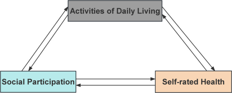 Patterns of social participation among older adults and their association with self-rated health: the mediating role of activities of daily living.