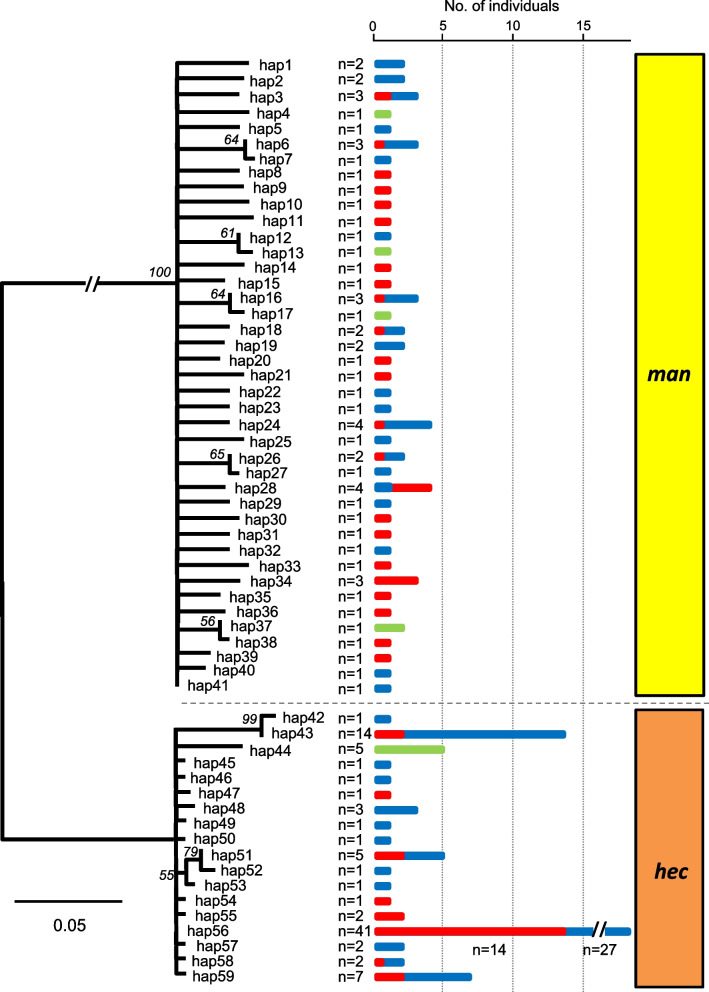 Elusive origin of mitochondria shared by two sister species of Eurema butterflies.