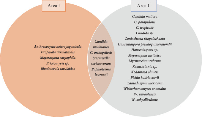Phylogenetic Diversity and Extracellular Enzymatic Activities of Yeasts and Yeast-Like Fungi Isolated From <i>Qualea grandiflora</i> (Vochysiaceae) in Cerrado Areas in Northern Minas Gerais, Brazil.