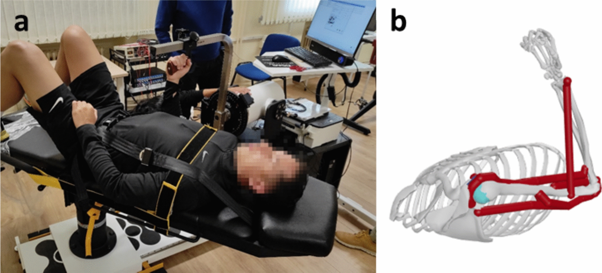 Comparison of subject-specific musculoskeletal model calibration strategies on muscle force and fatigue estimation.