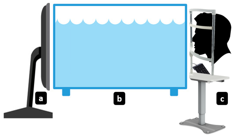 Comparison of Vernier Acuity Measured with Three Different Water-induced Blur Simulation Methods.